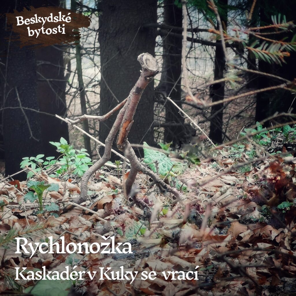 Rychlonožka