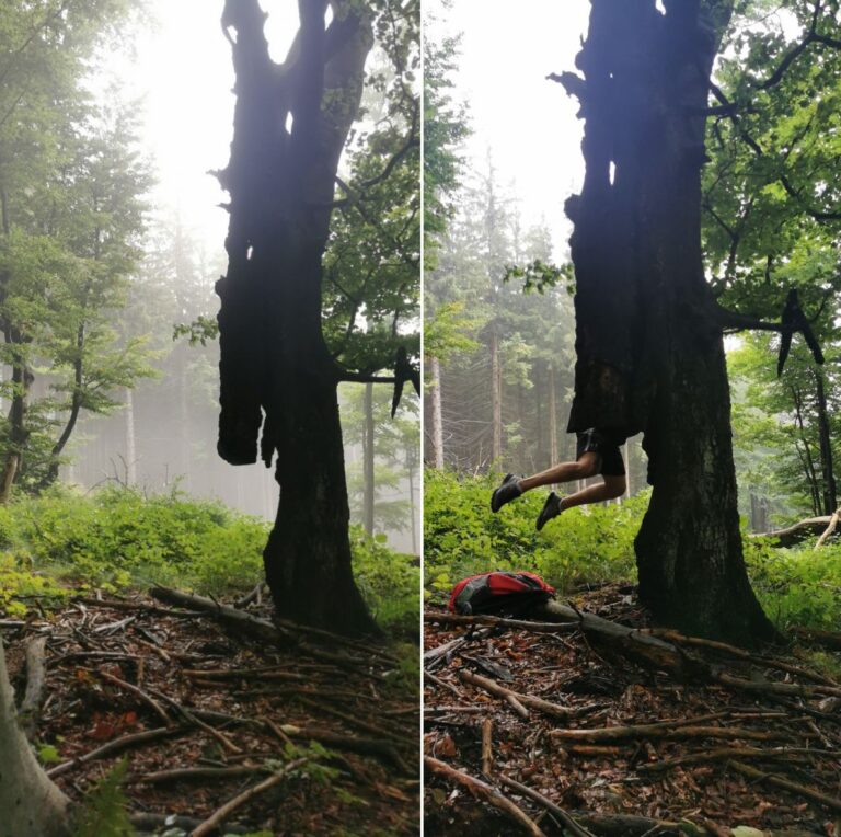 Krvelačná tetička Beskydského Groota v akci